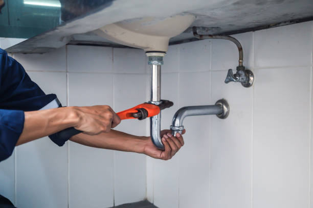 Best Local Plumber Services  in Tyndall, SD